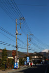 DD4W8095