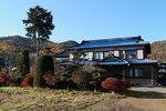 DD4W8099