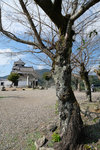 DSCF4602