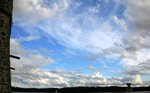 IMG_7921