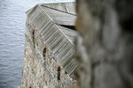 IMG_8000