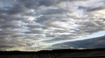 IMG_8010