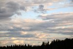IMG_8012