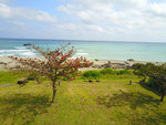 DJI_0635