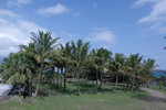 DSCF1069