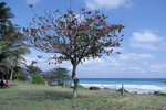 DSCF1089