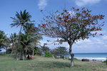 DSCF1090