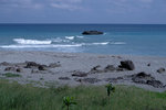 DSCF1095