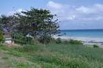 DSCF1097