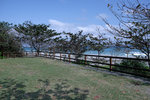 DSCF1103