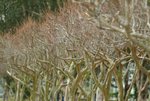 DSCF0044