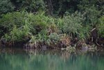 DSCF0050