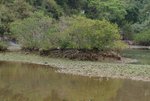 DSCF0096