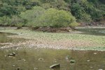DSCF0100