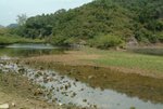 DSCF0175
