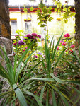 P1400017
