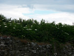 P1400142