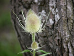 P1400160