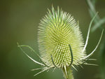 P1400161