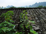 P1630829