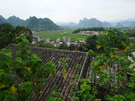 P1630875