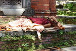 DSC03829