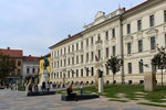 PEC_9684