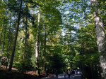 P1299443