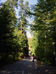P1299444