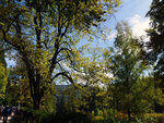 P1299463