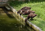11-BIRD PARK.JPG