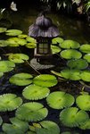 15E-BUTTERFLY FARM.JPG