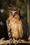 3-BIRD PARK.JPG