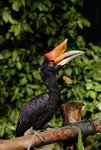 4-BIRD PARK.JPG