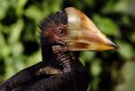 5-BIRD PARK.JPG