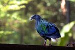 9-BIRD PARK.JPG