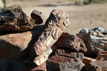 DD4W3756