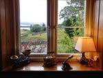 20180722_083835_HDR