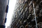 DSC01936