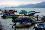 DSC01974