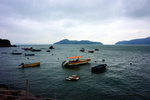 DSC01989