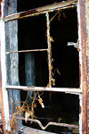 DSC02044