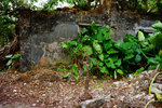 DSC02047
