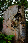 DSC02050