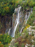P1266846