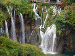 P1266850