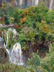 P1266879