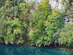 P1266883