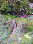 P1266886