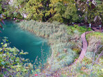 P1266891